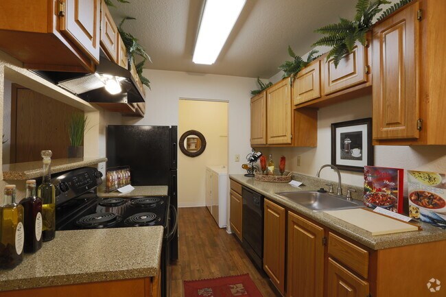 Kitchen - Sofi Belmar