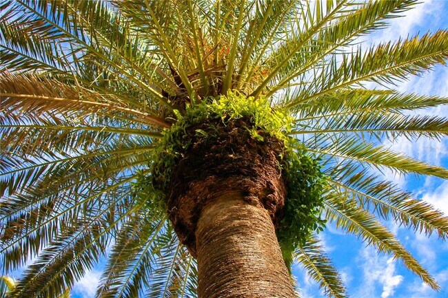 Building Photo - 3835 Almeria Ave