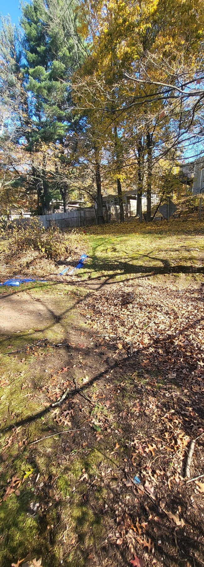 Building Photo - 56 Victory Dr