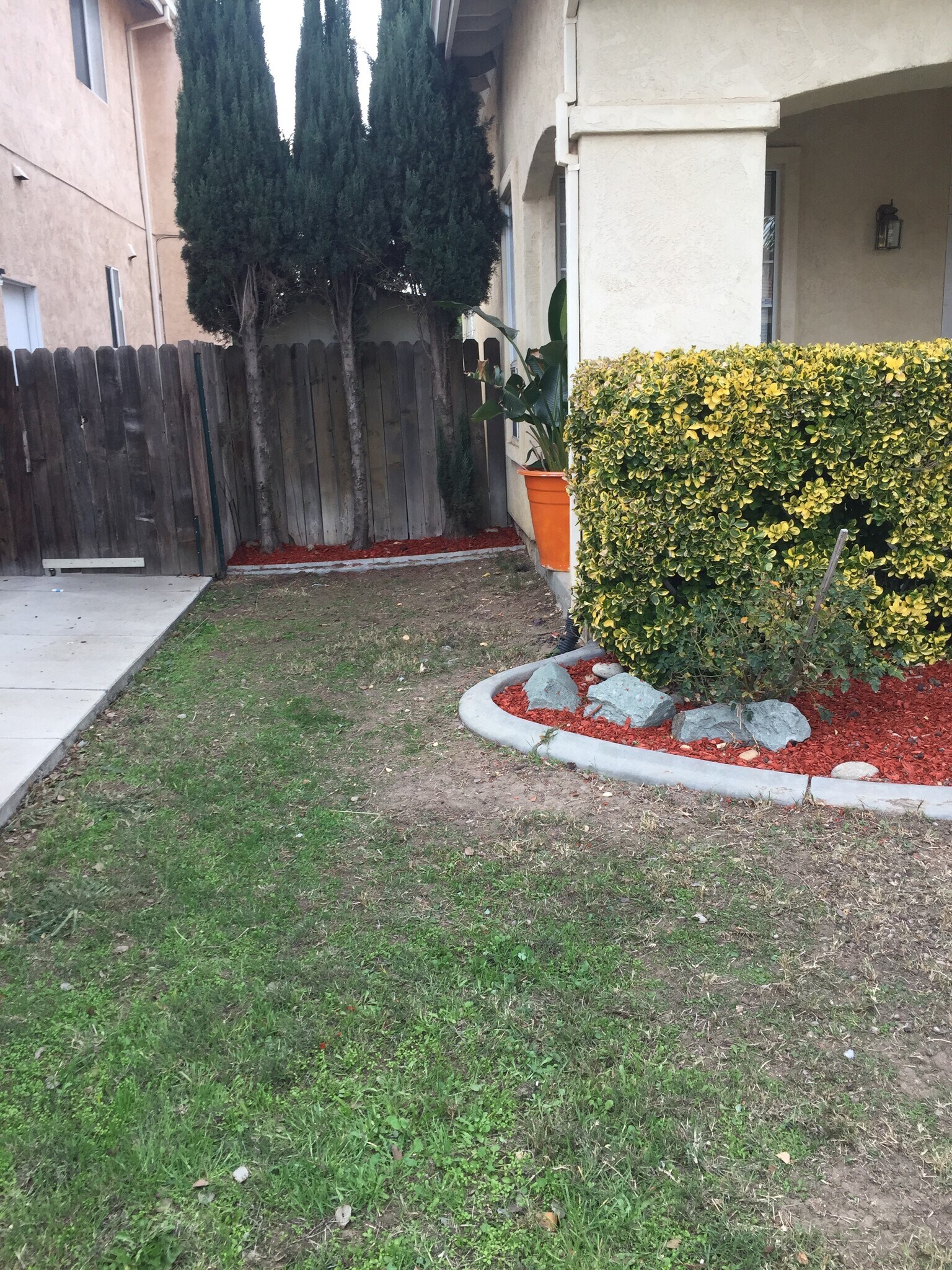 Building Photo - 1573 Shadowood Ct