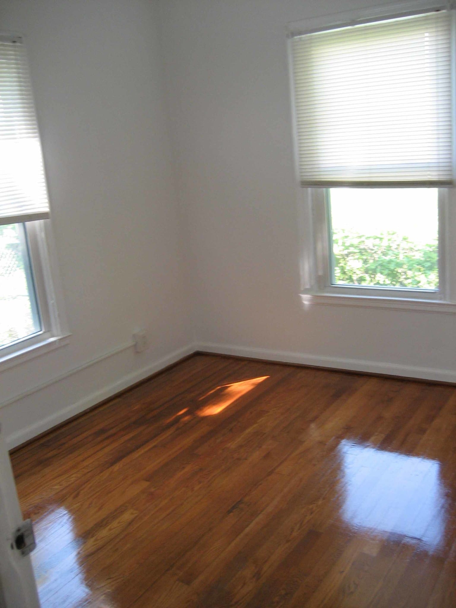 Building Photo - 537 Richland Ave