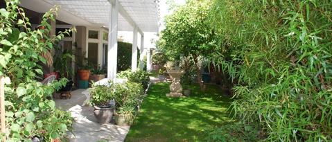 Building Photo - 78237 Willowrich Dr