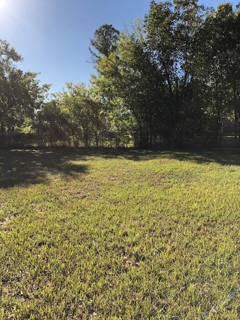 Building Photo - 3303 Texas- House