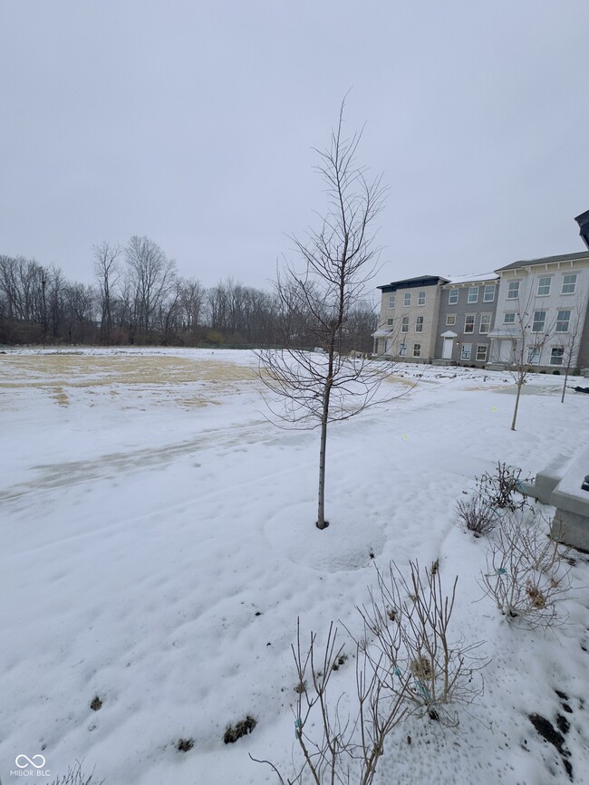 Building Photo - 4906 Gilet Dr