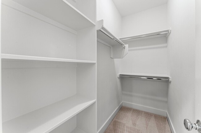 Building Photo - 2909 Gillespie St