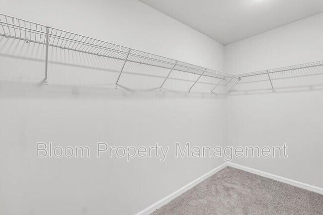 Building Photo - 247 Lucca Dr