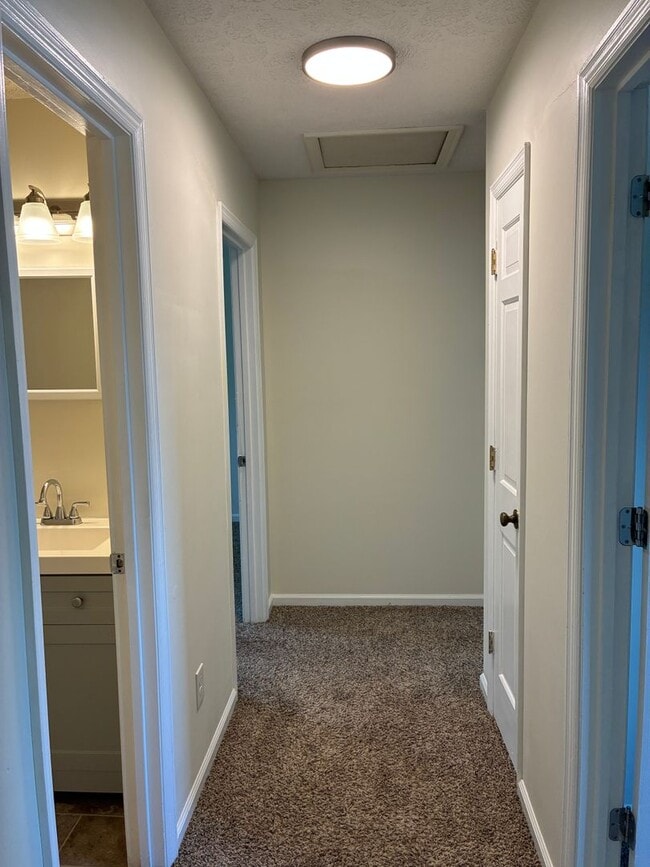 Building Photo - 3 Bed 1.5 Bath Townhouse Near Peaks View Park