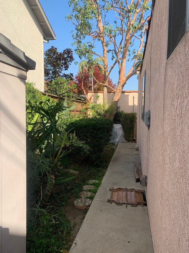 Side Yard - 3728 E 5th St