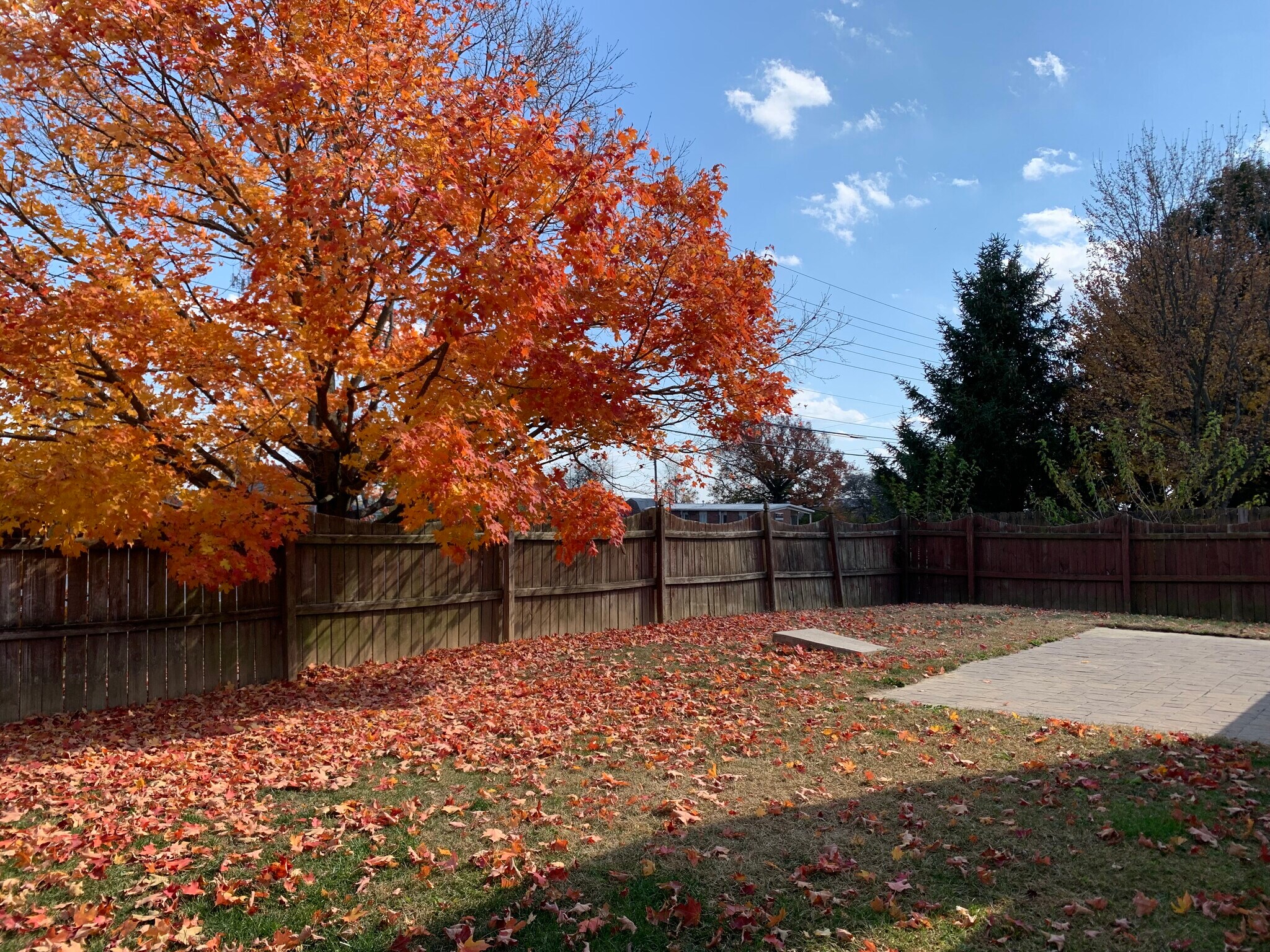 Building Photo - 1527 Country Pointe Dr