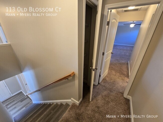 Building Photo - 113 Old Blossom Ct