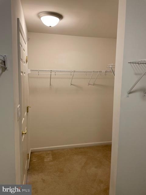 Building Photo - 8 Swan Ct