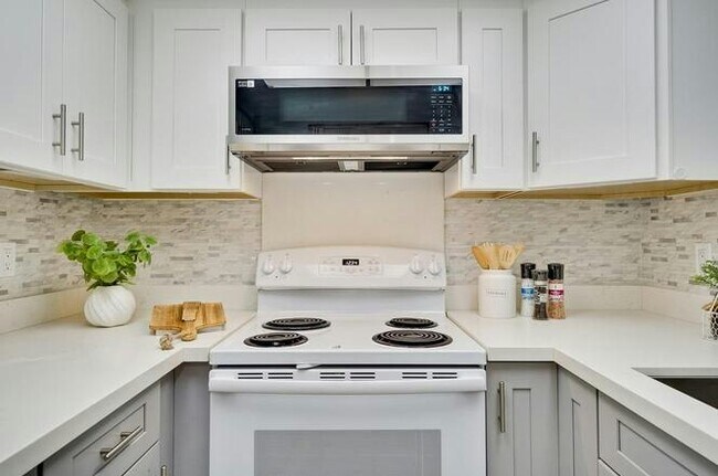 Building Photo - 716 San Conrado Terrace