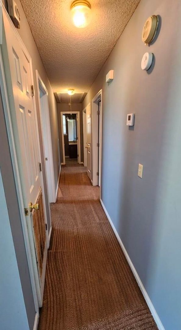 Building Photo - 1302 Loblolly Dr