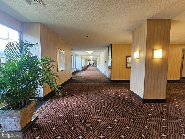 Building Photo - 3709 S George Mason Dr