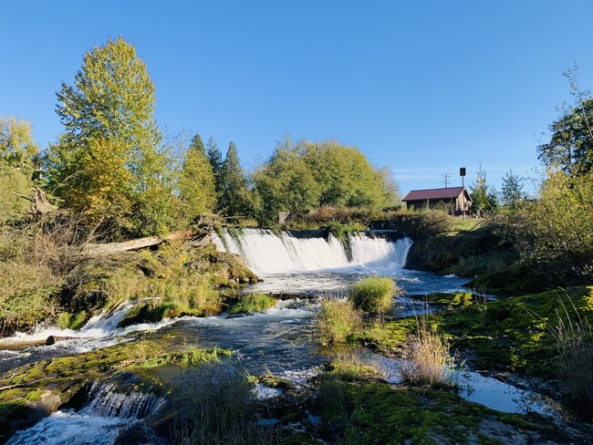 Tumwater Falls Park (walking distance) - 616 Emerson St SW