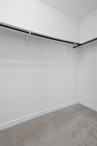 Building Photo - 103 Trailside Ln