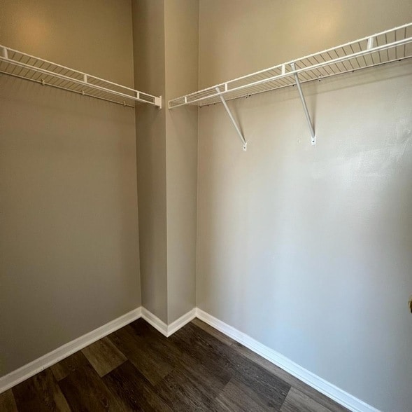 Building Photo - 1169 Shorewood Ct