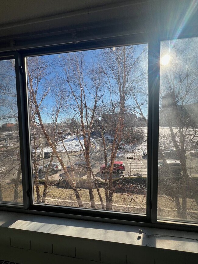 Building Photo - Fantastic Studio in The Metropolitan Condos