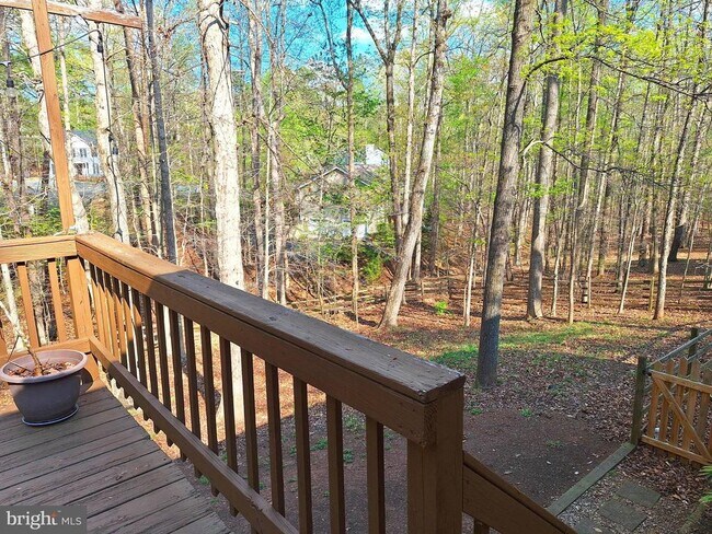 Building Photo - 12 Albano Ct