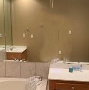 Master Bath - 93 E Saddlebrook Dr