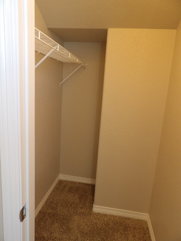 Building Photo - 13534 Park Gate Dr