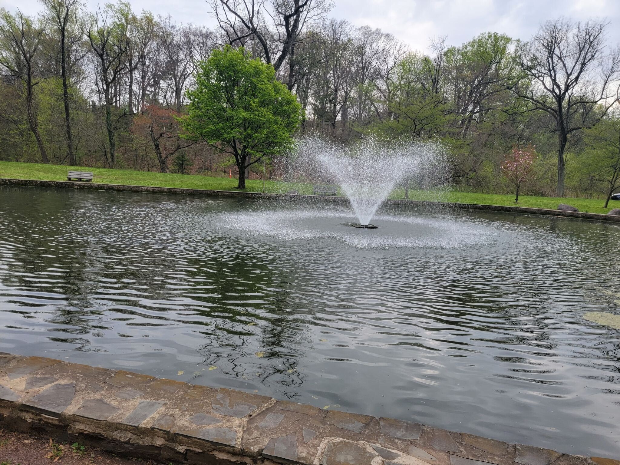 Tookany Creek Pond - 508 Central Ave