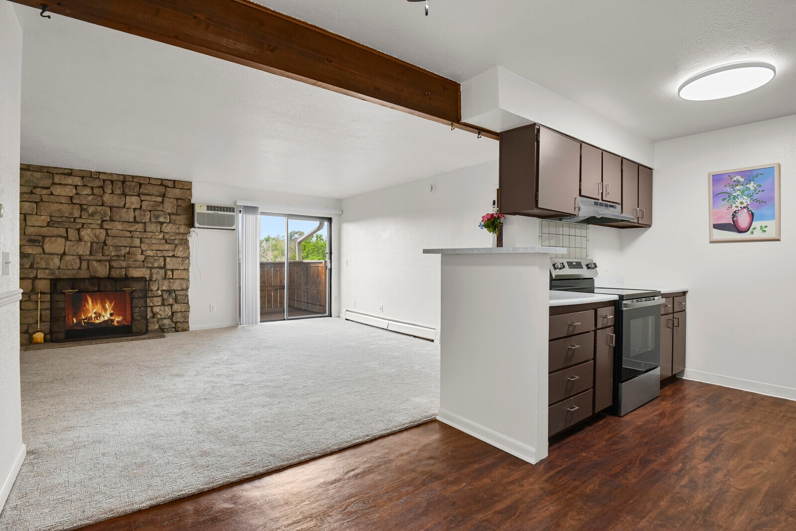 Living Room/Kitchen - 381 S Ames St