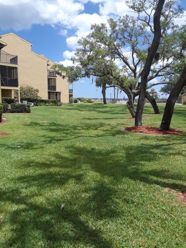 Expansive lawn - 441 N Harbor City Blvd