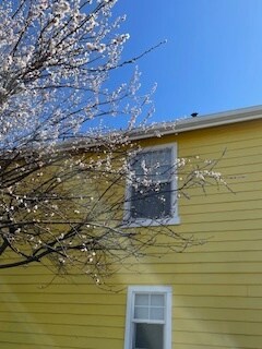 Building Photo - 249 Red Bud