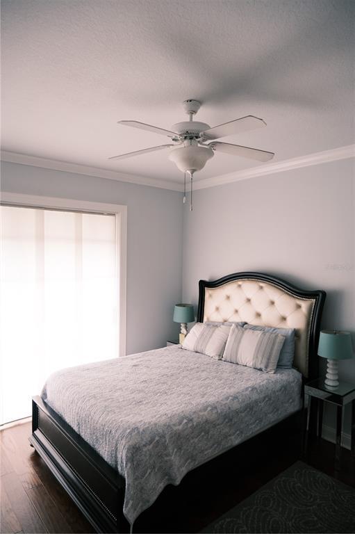 Building Photo - 5238 W Kennedy Blvd