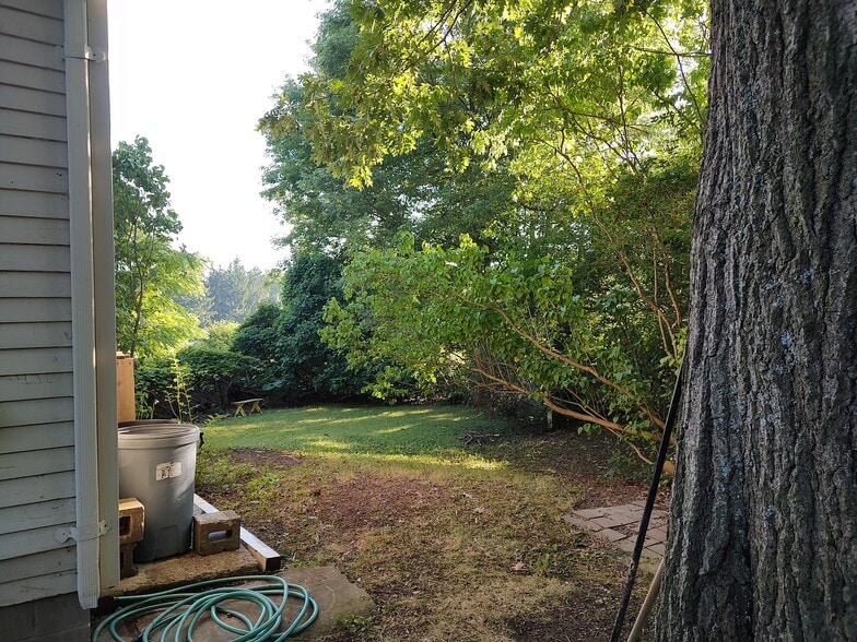 Side yard. - 1314 Blakeley Rd