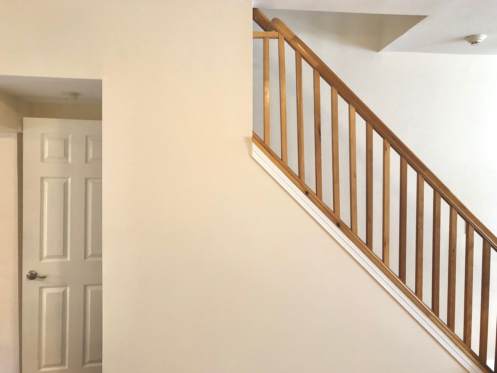 Downstairs 6 - 2331 E Harold St