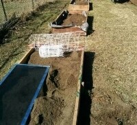 Grow your own veggies - 12103 Viewpoint Dr