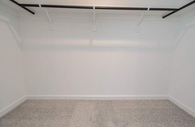 Building Photo - 12312 Frisco Cv Ct