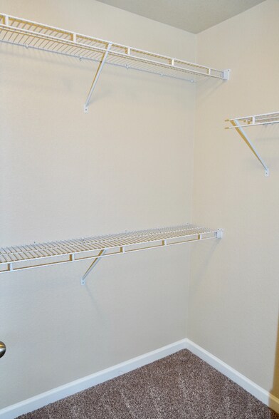 Building Photo - 5609 Shamrock Heights