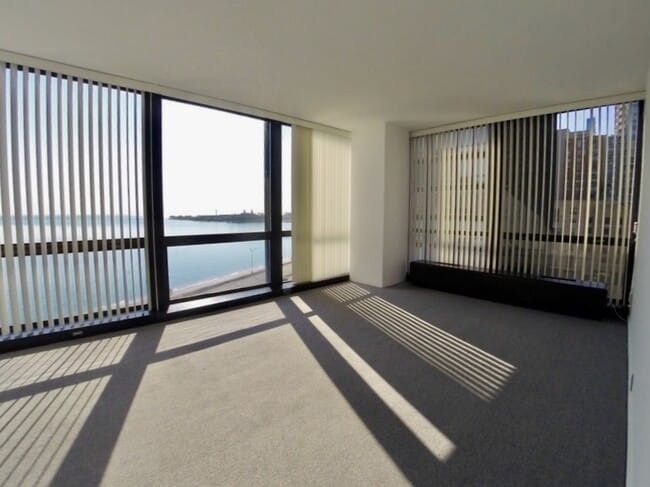 Building Photo - 900 N Lake Shore Dr
