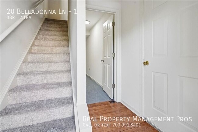 Building Photo - 20 Belladonna Ln