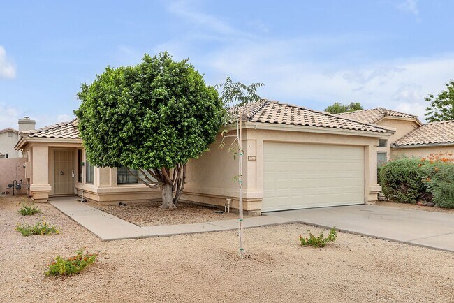 Primary Photo - Gilbert Rental