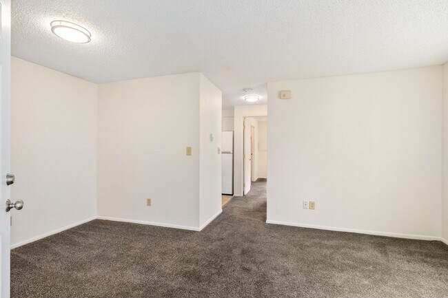 Interior Photo - Arise Bellingham