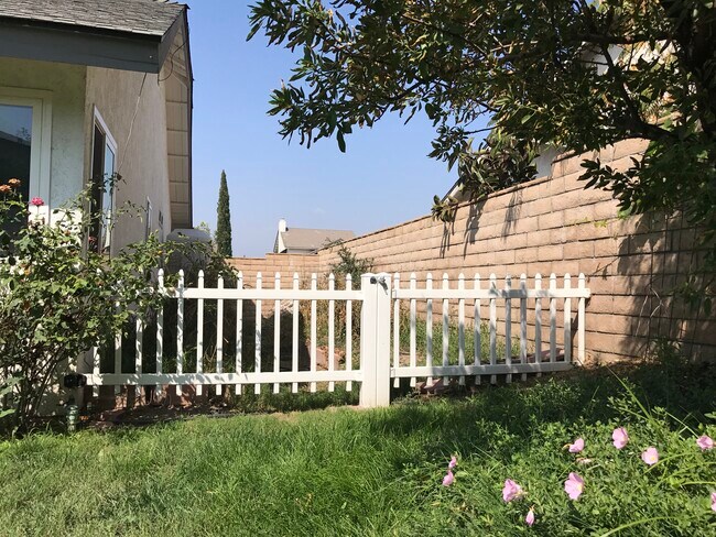 backyard - 25559 Mandarin Ct