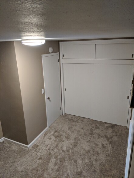 Bedroom One Large closets and new carpet - 705 E. 19th Street