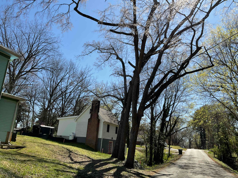 Building Photo - 601 Rose Hill Ave