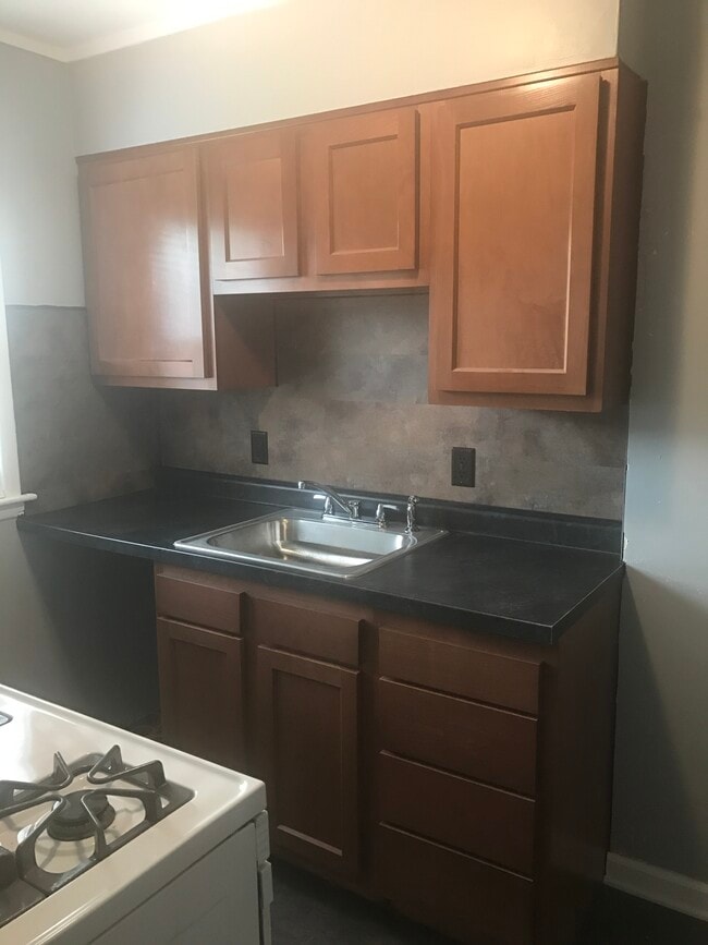 kitchen (dishwasher included but not in photo) - 115 N Hampton Rd