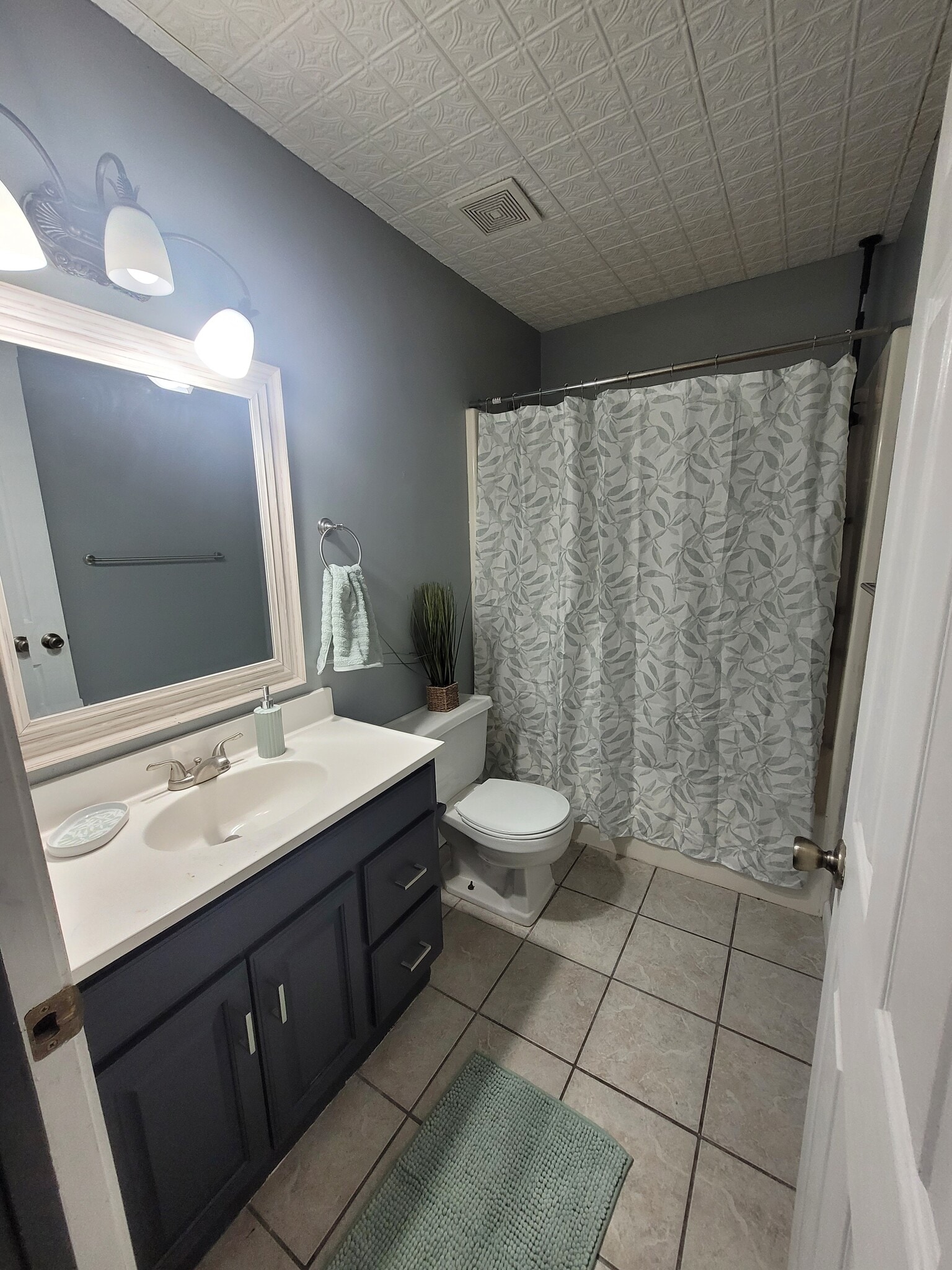 Hall bath - 2207 Weathered Rock Rd