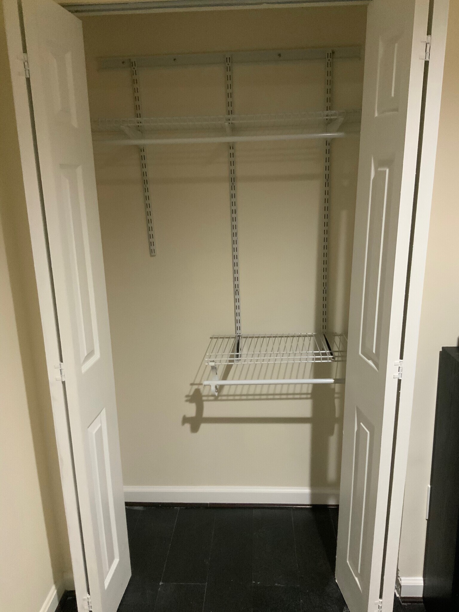 Bedroom Closet - 246 Arcadia Shores Cir