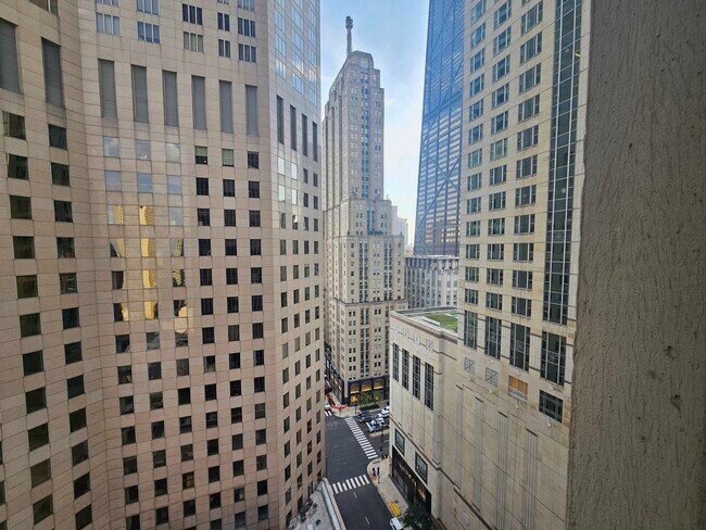 Building Photo - 100 E Walton St