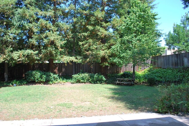 Building Photo - Beautiful Vista San Ramon Home! Huge Yard ...