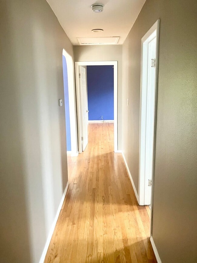 Building Photo - Stylish 3 Bedroom in College Area