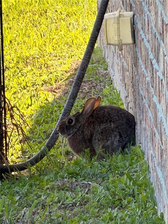 Building Photo - 31 Russkin Ln