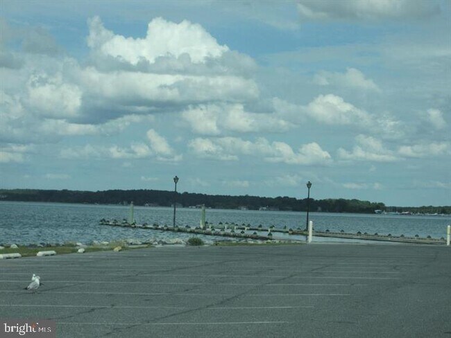 Building Photo - 304 Choptank Ave